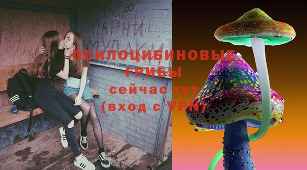 молекула духа Няндома