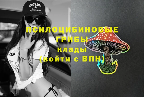молекула духа Няндома