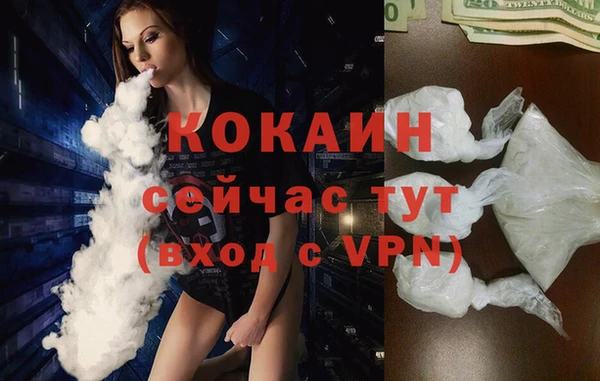 молекула духа Няндома