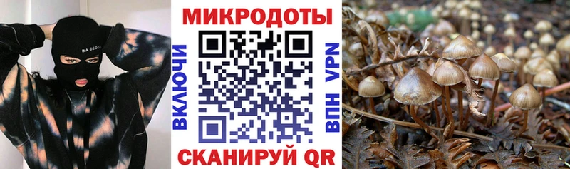 Псилоцибиновые грибы GOLDEN TEACHER  Купить  Балахна 